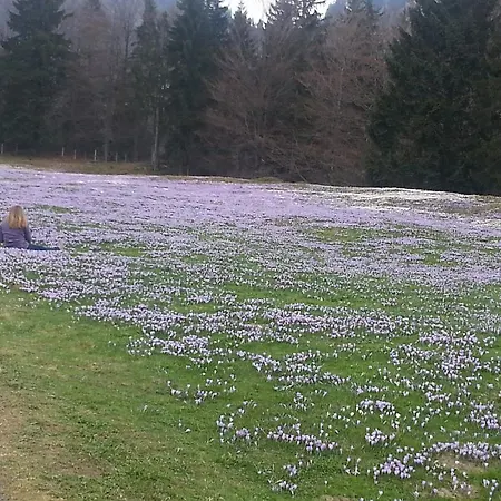 Seehof Pensión Füssen