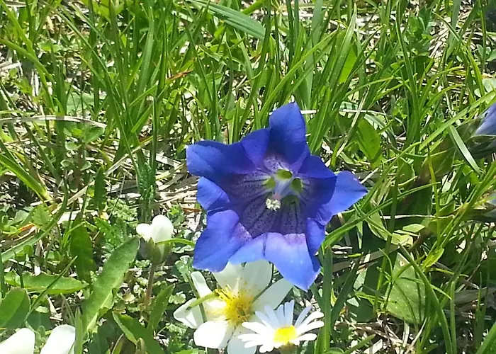 Seehof Πανσιόν