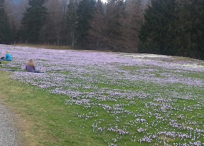 Seehof Πανσιόν Füssen